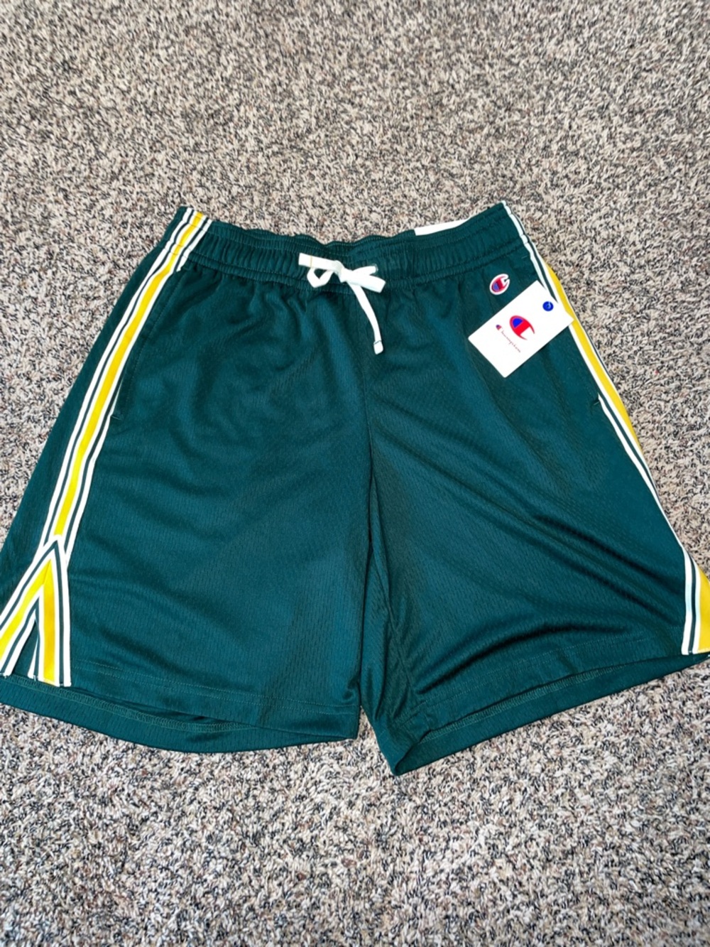 Champion Vintage Men’s Loose Fit Dark Green Active Shorts with Stripes | NWT